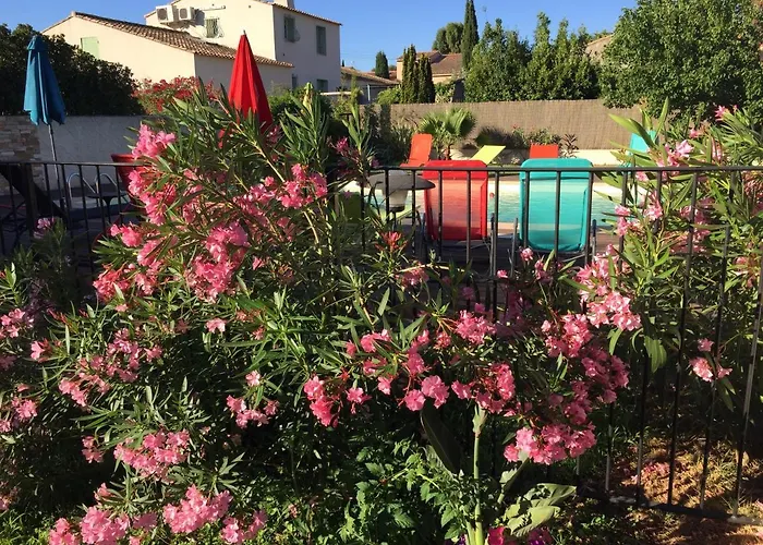 Bas De T3 55m2 Piscine *